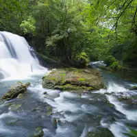 น้ำตกอิวะสึโบะในหุบเขาอิวะยะ