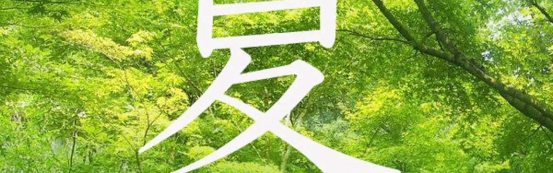 北郷 音色香の季 合歓のはな