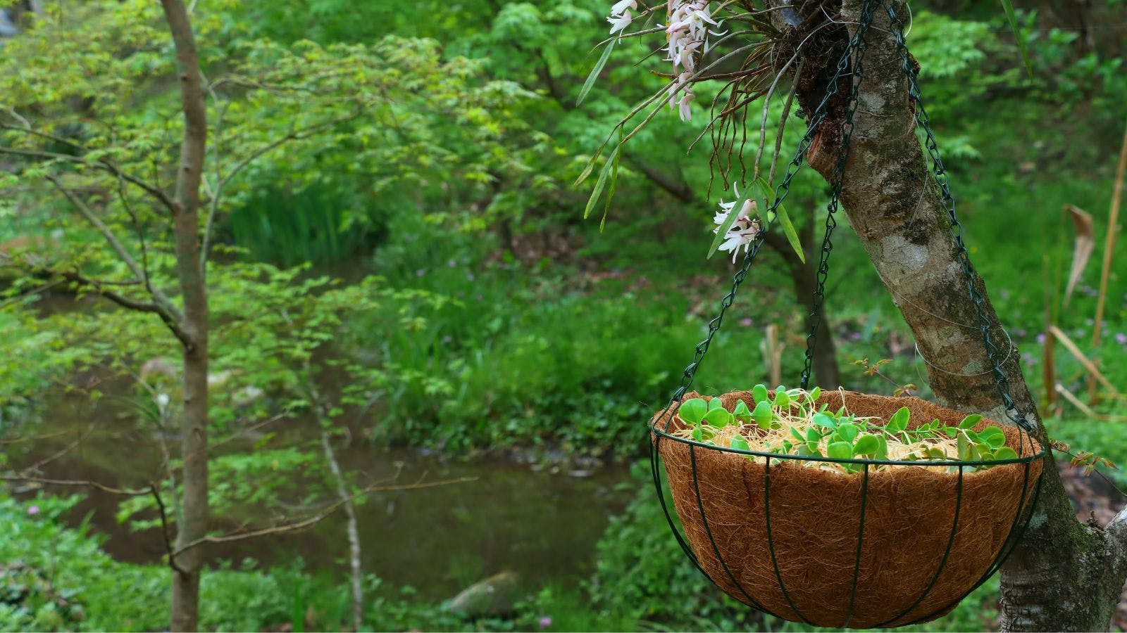 เดินเล่น Forest Egg Walk เพื่อเพลิดเพลินกับความเขียวสดของฤดูใบไม้ผลิ