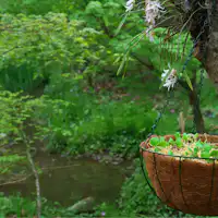 เดินเล่น Forest Egg Walk เพื่อเพลิดเพลินกับความเขียวสดของฤดูใบไม้ผลิ