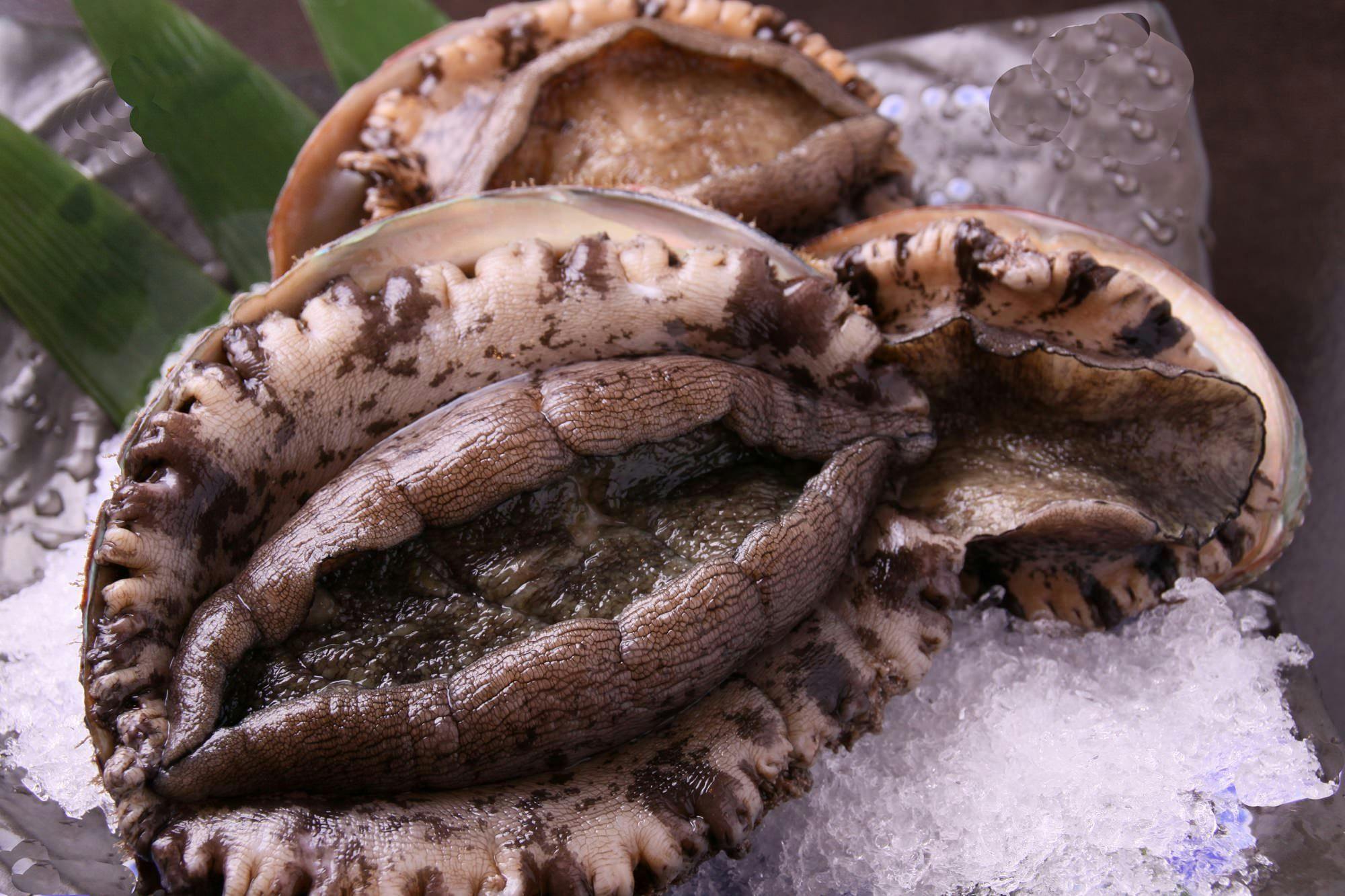 箱根 料理宿 弓庵