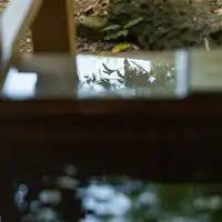 Ini ialah Bilik 10 tatami dengan tab mandi terbuka.