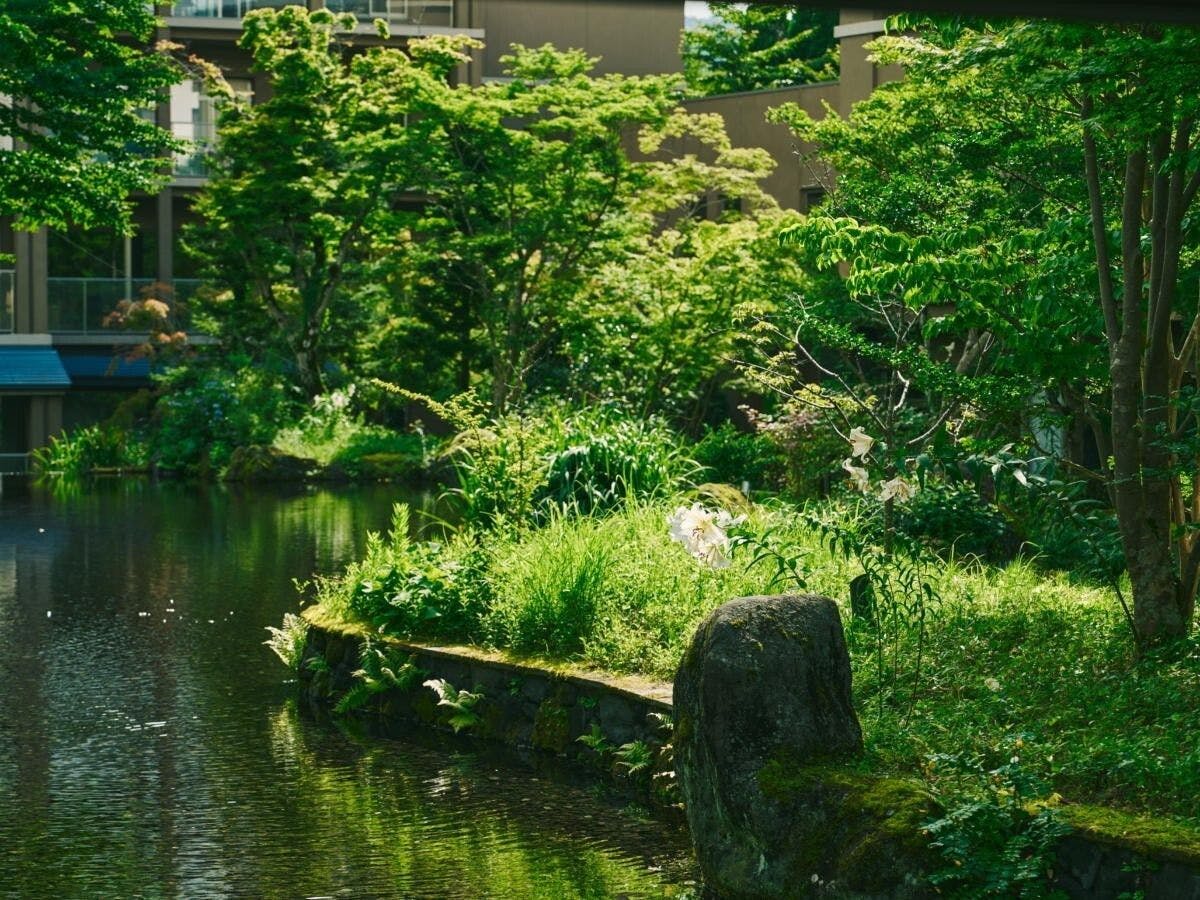 箱根翡翠