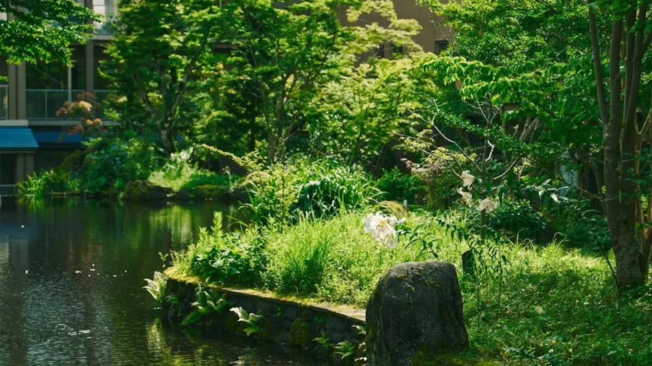 Hakone Hisui