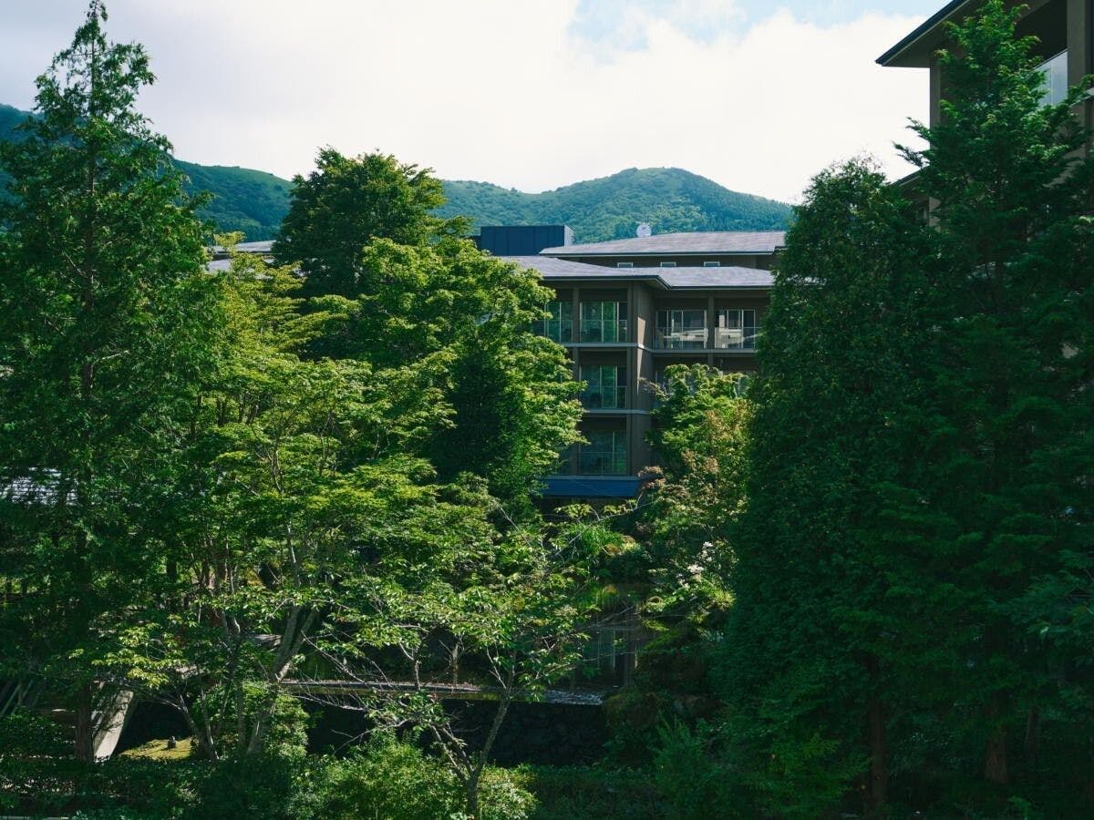 箱根翡翠