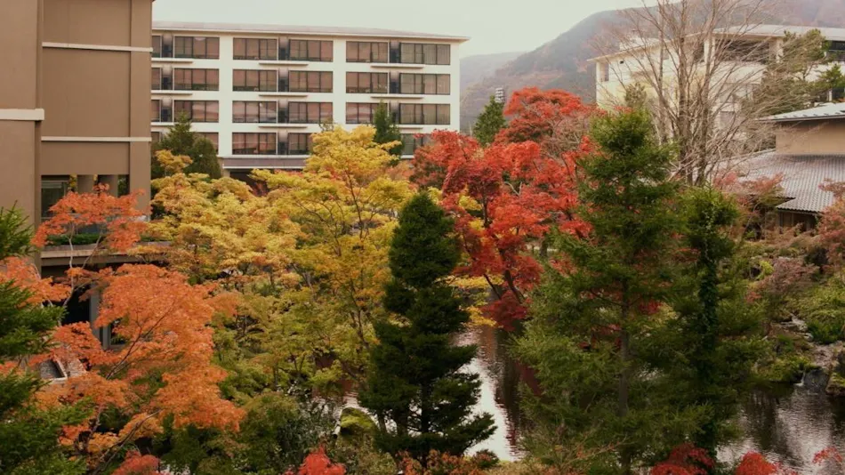 Hakone Hisui