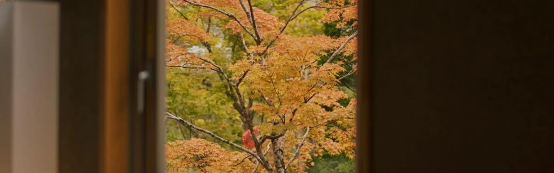 箱根翡翠