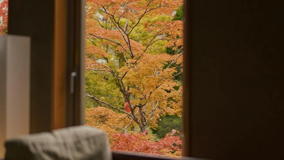 Hakone Hisui