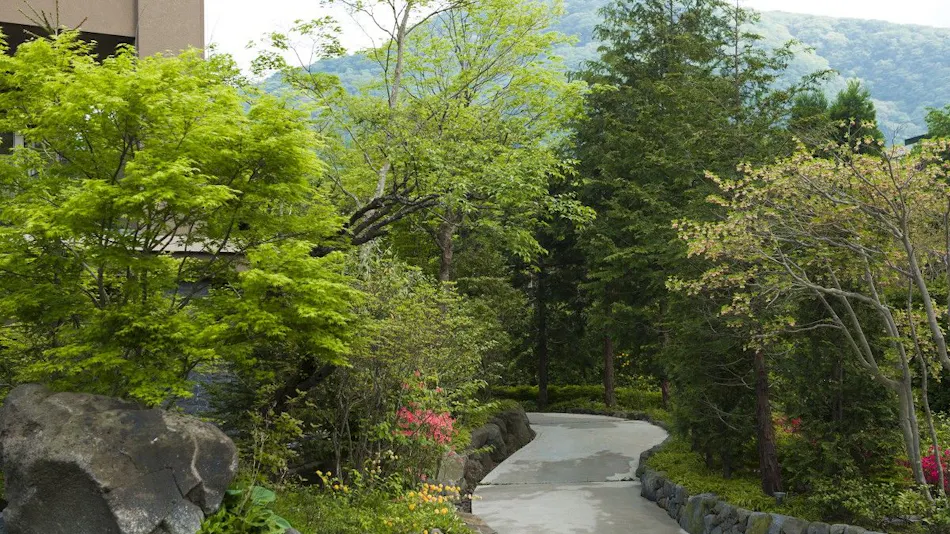 Hakone Hisui