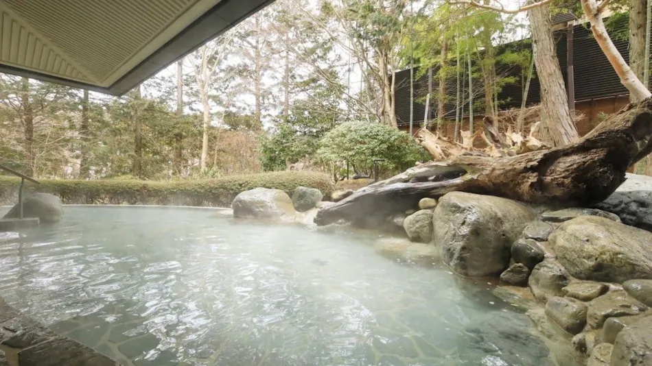 Hakone Hisui