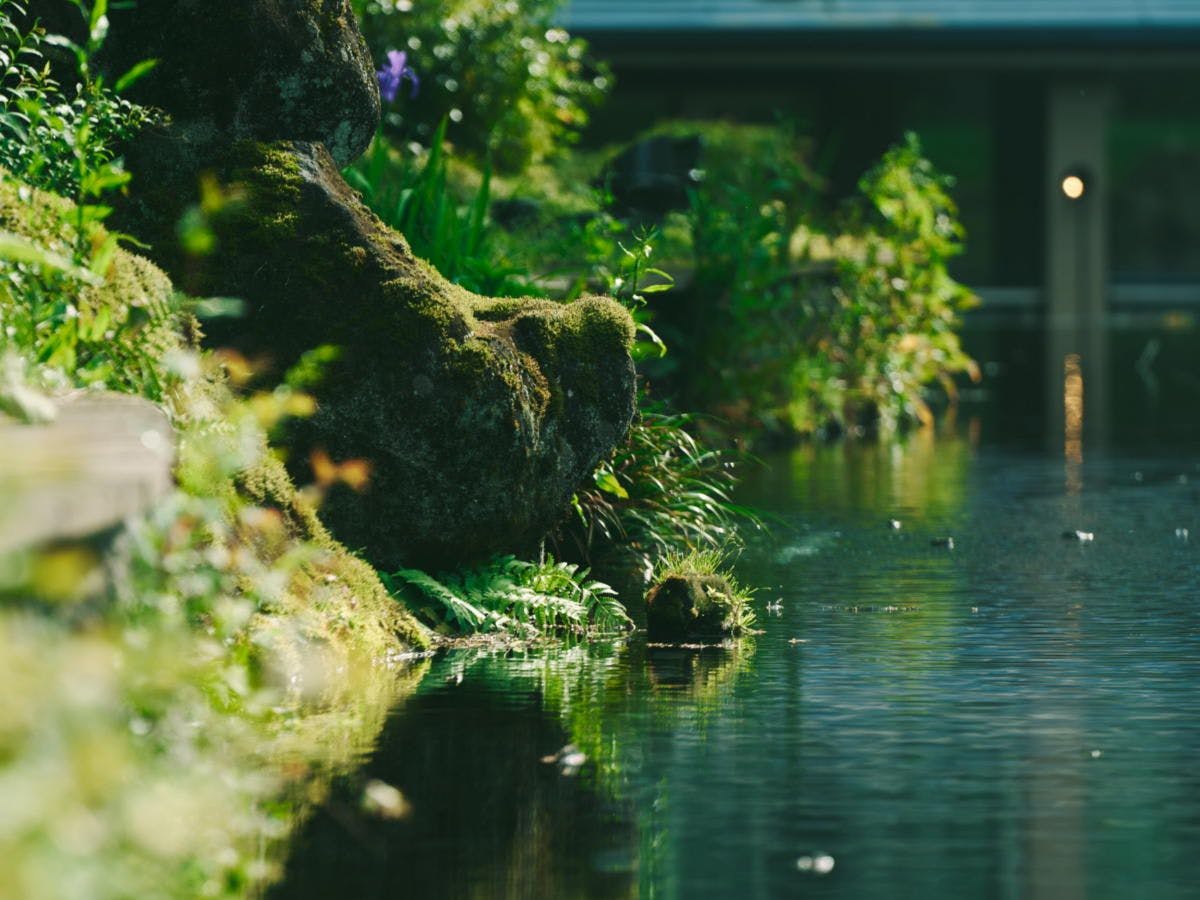 箱根翡翠
