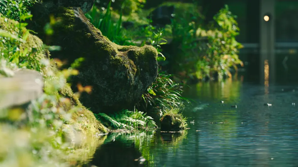 Hakone Hisui