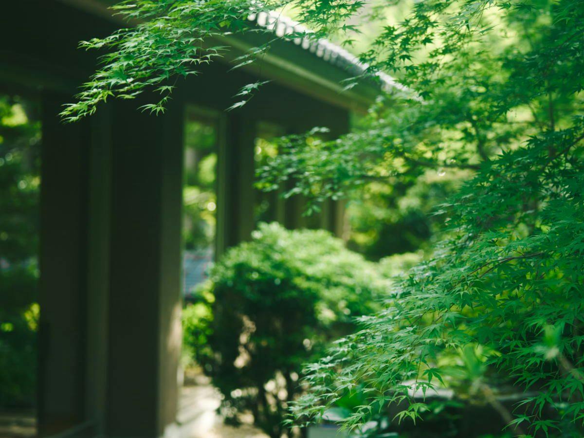 Hakone Hisui