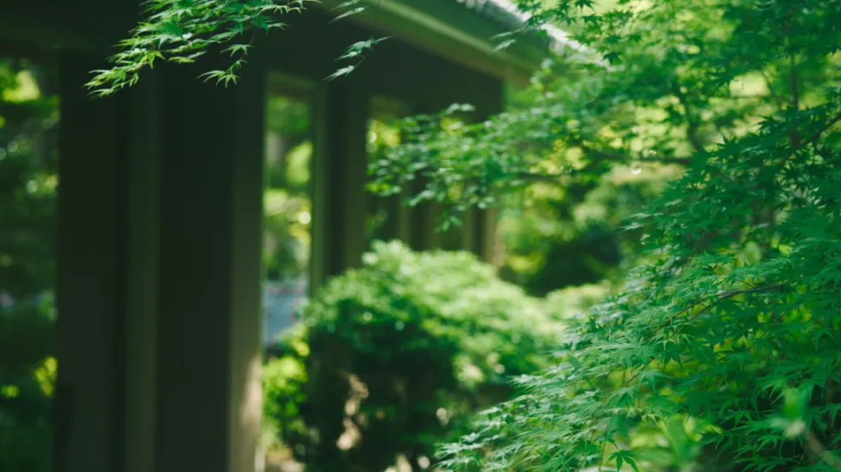 Hakone Hisui