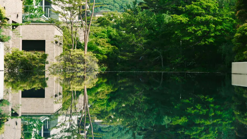Hakone Hisui