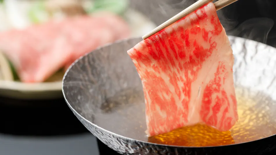 Echizen Awara Onsen Tsuruya