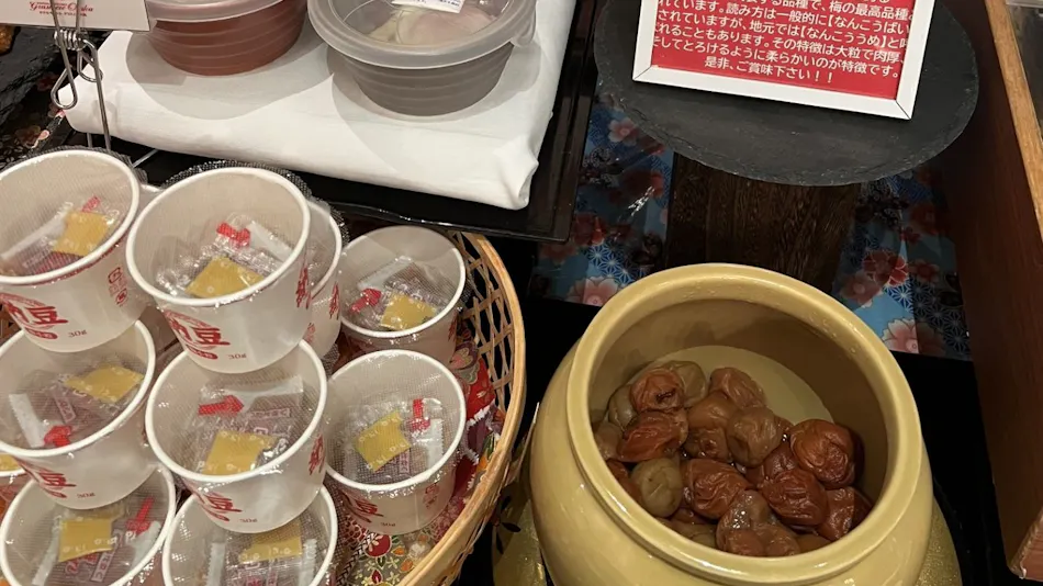 Hotel Monterey Grasmere Osaka