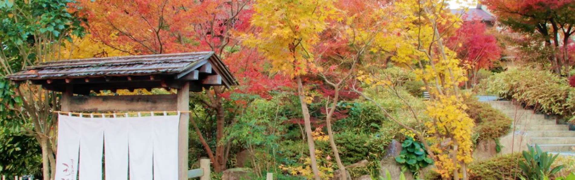 奈良偲の里 玉翠