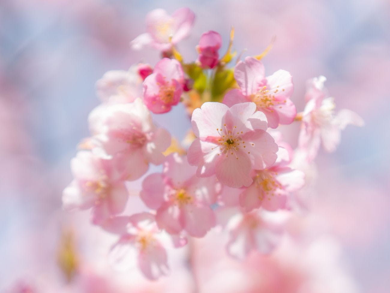 奈良偲の里　玉翠