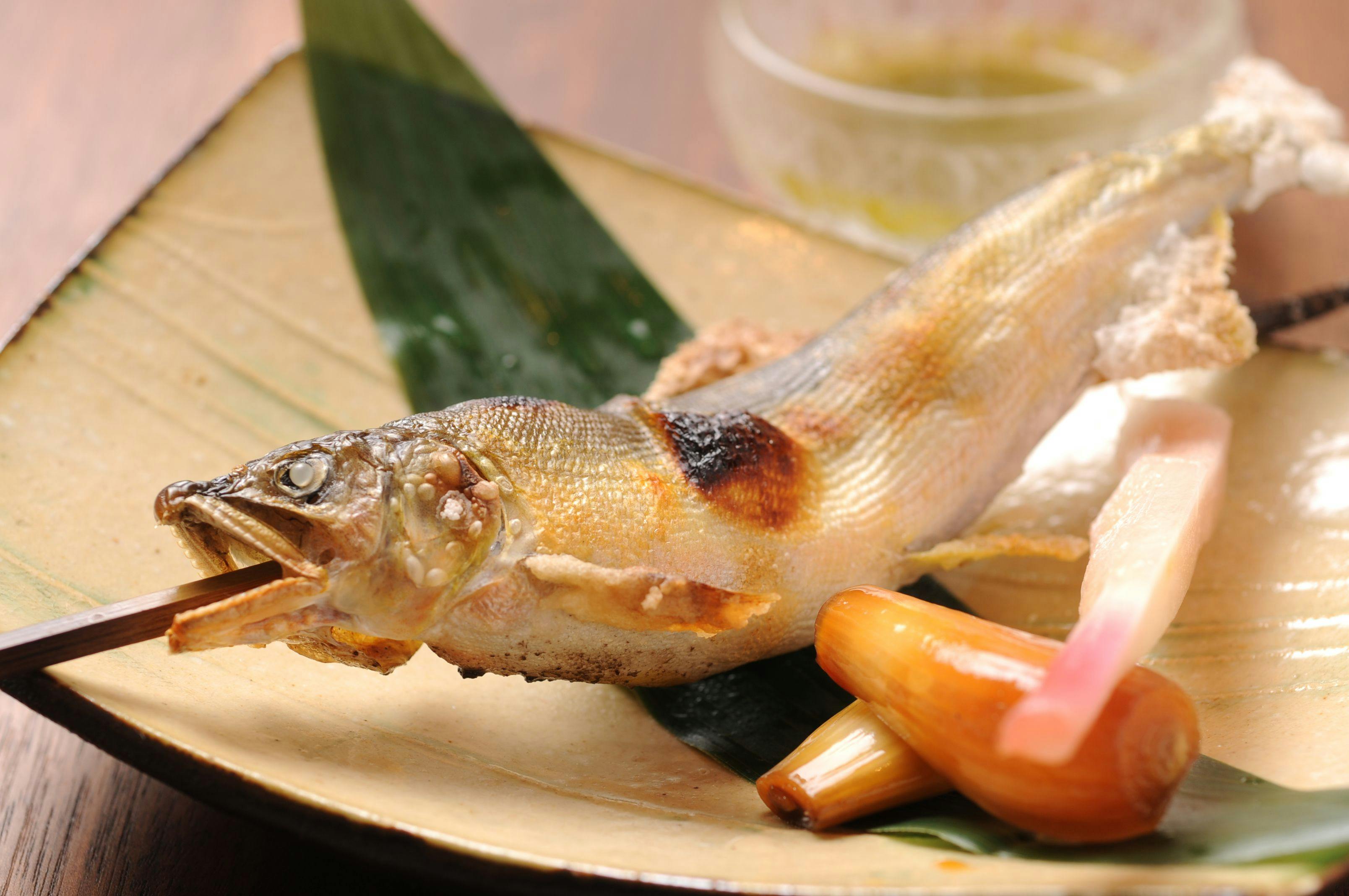 Onsen Ryokan 山喜