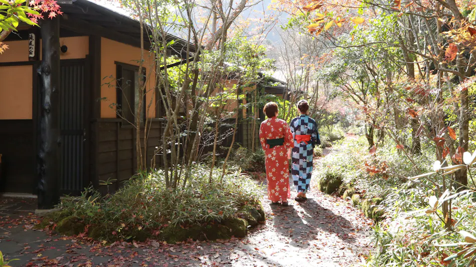 Minami Aso Onsen Iyashi no Sato Hatago Seiwa