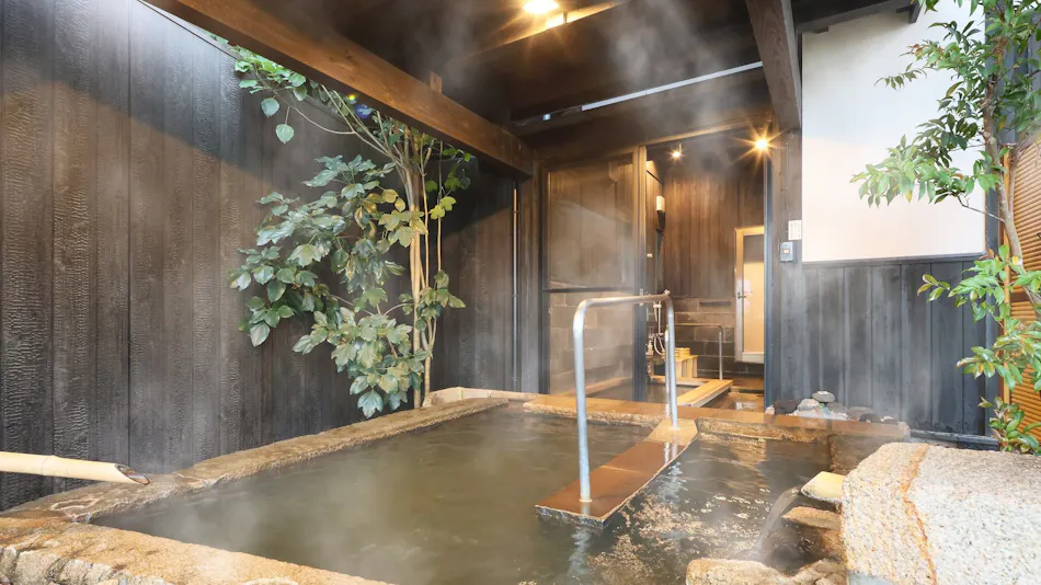 Minami Aso Onsen Iyashi no Sato Hatago Seiwa