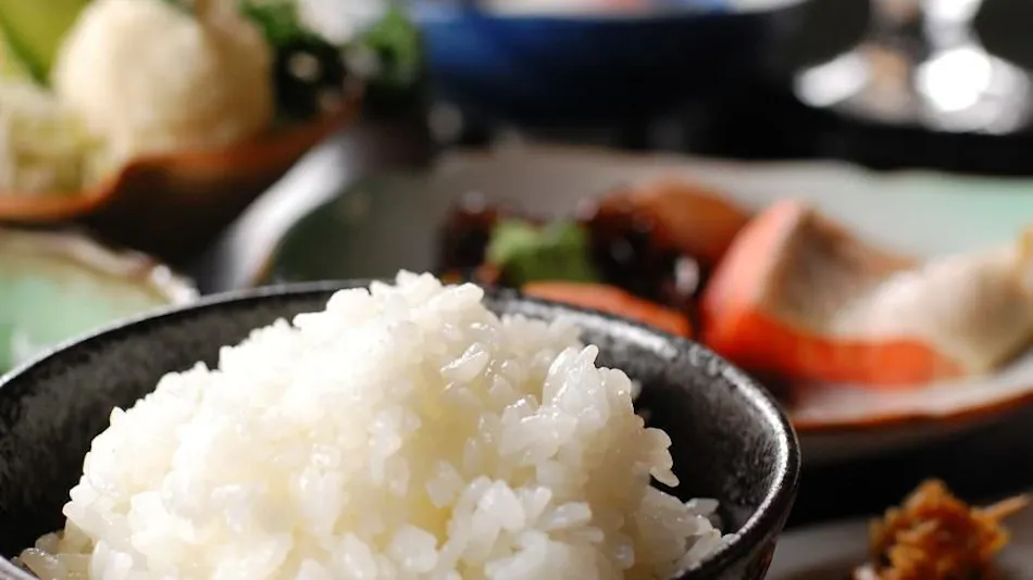 Minami Aso Onsen Iyashi no Sato Hatago Seiwa