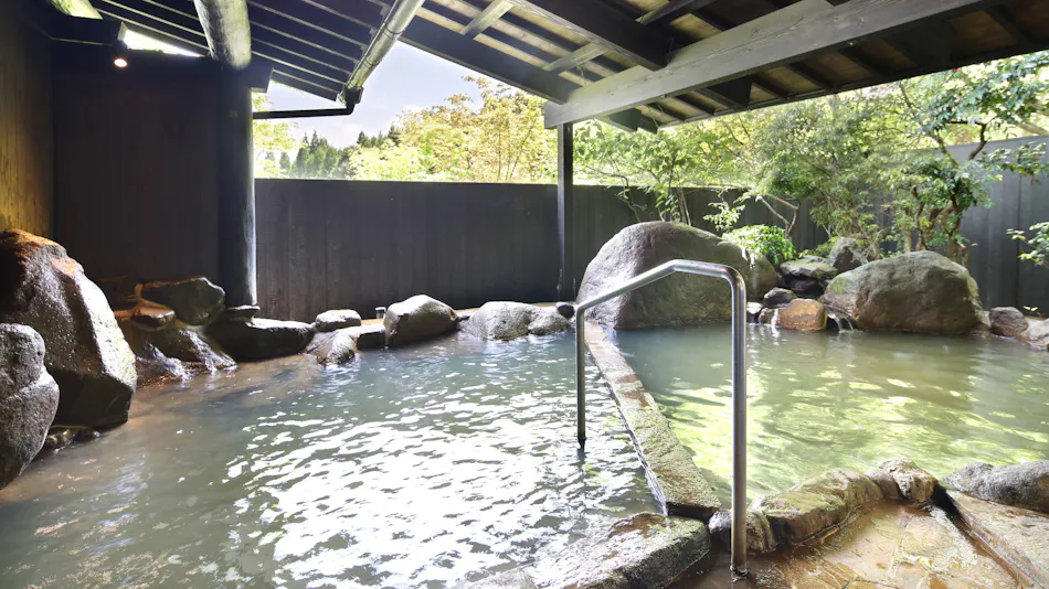Minami Aso Onsen Iyashi no Sato Hatago Seiwa