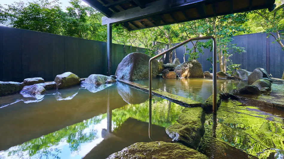 Minami Aso Onsen Iyashi no Sato Hatago Seiwa