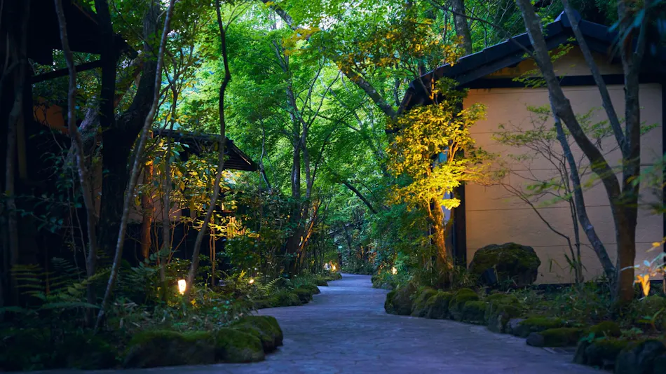 Minami Aso Onsen Iyashi no Sato Hatago Seiwa