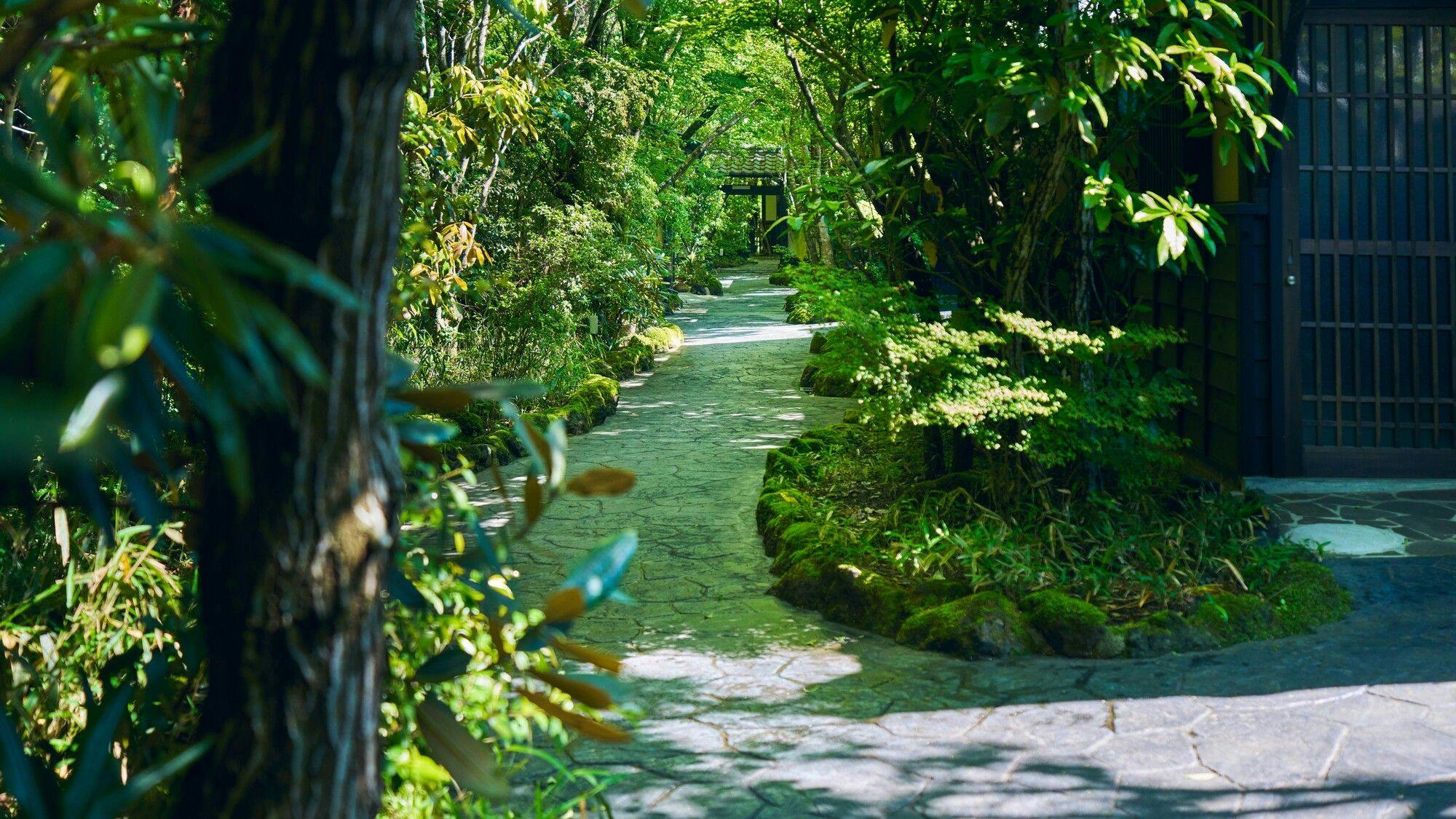 南阿蘇温泉　癒しの里　旅籠　静和