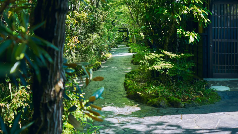 Minami Aso Onsen Iyashi no Sato Hatago Seiwa