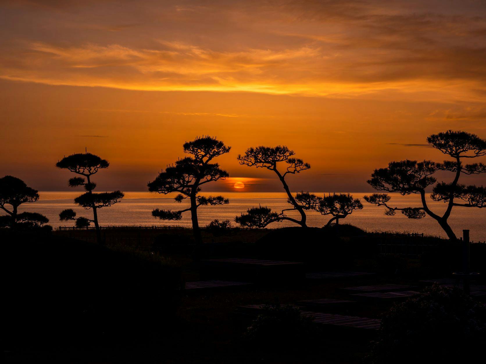 HOTEL OOSADO(ホテル大佐渡)