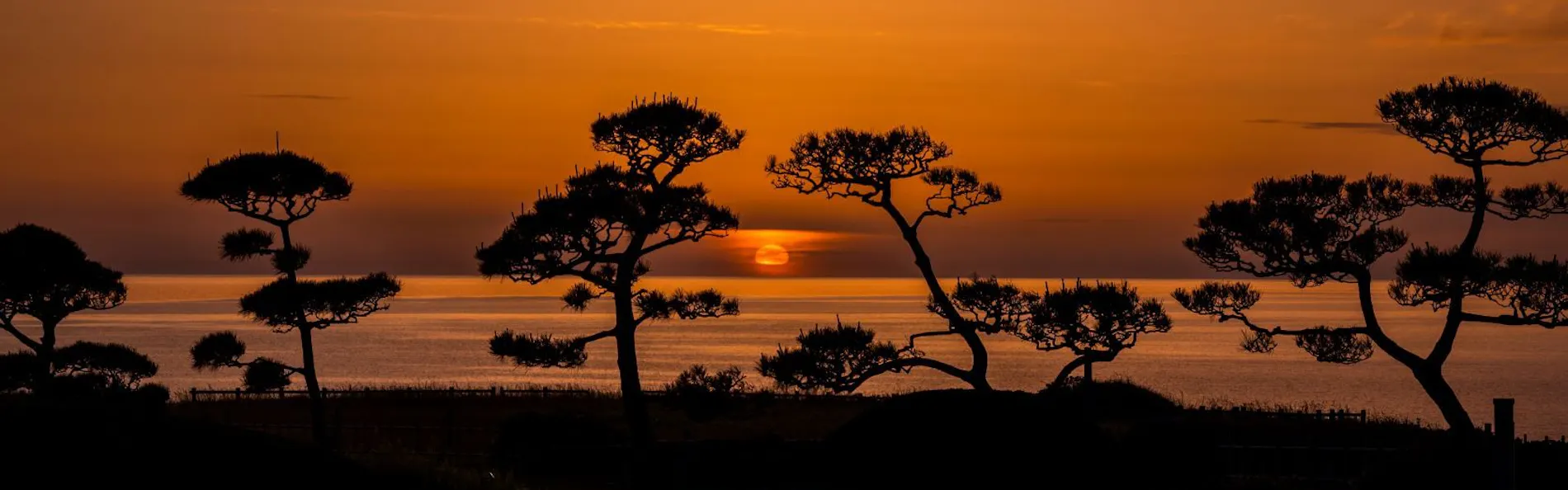 HOTEL OOSADO(ホテル大佐渡)