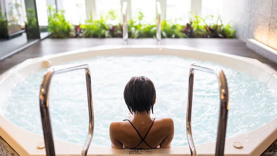 The Capitol Hotel Tokyu
