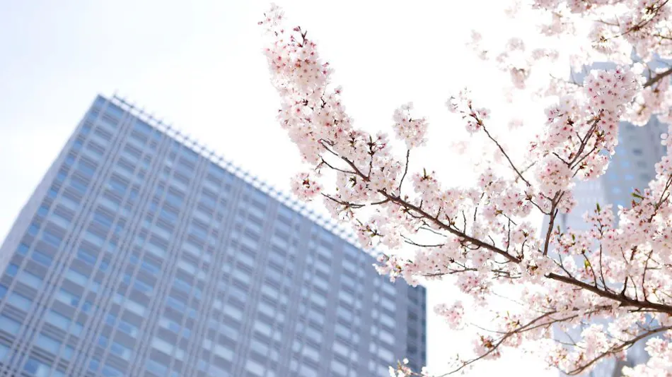 The Capitol Hotel Tokyu