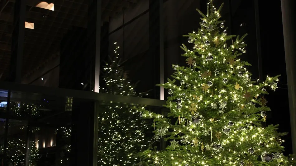 The Capitol Hotel Tokyu