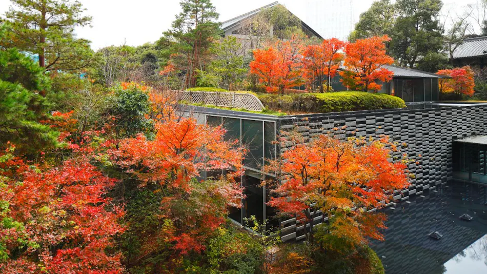 The Capitol Hotel Tokyu