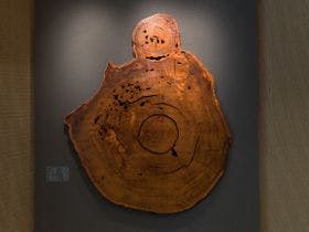 JRホテル屋久島