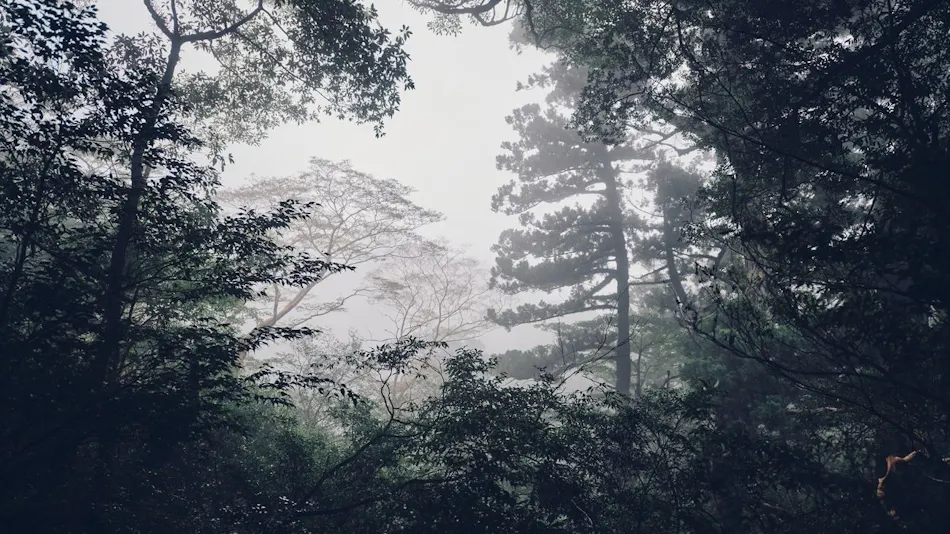 Samana Hotel Yakushima (formerly Hotel Yakushima)