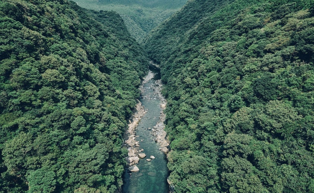 samana hotel Yakushima（旧・ホテル屋久島）