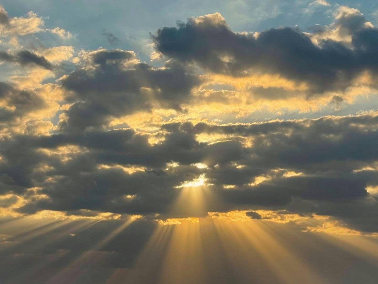 samana hotel Yakushima（旧・ホテル屋久島）