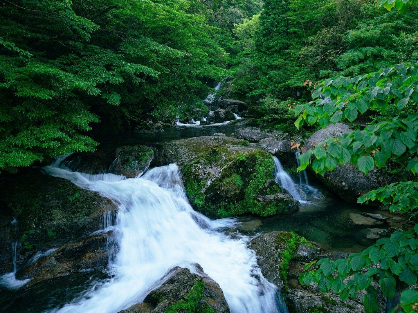 samana hotel Yakushima（旧・ホテル屋久島）