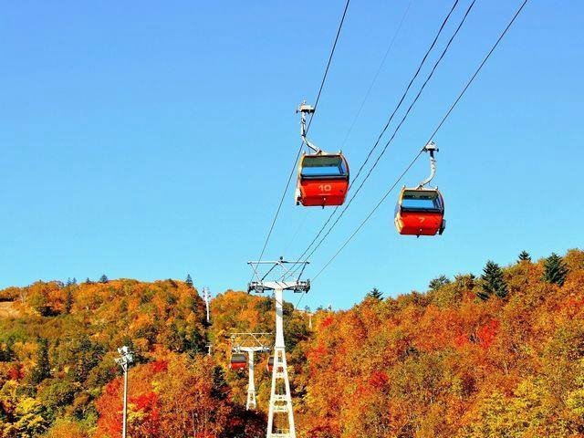 【秋の空中散歩】定山渓で紅葉狩り！紅葉ゴンドラ乗車引換券付き／ビュッフェ