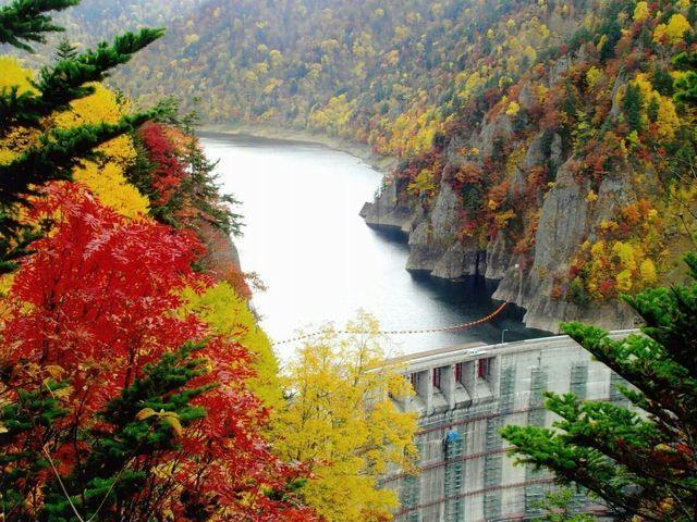【豊平峡ダムを満喫】秋の定山渓を愉しもう！豊平峡電気バス往復乗車引換券付き／ビュッフェ