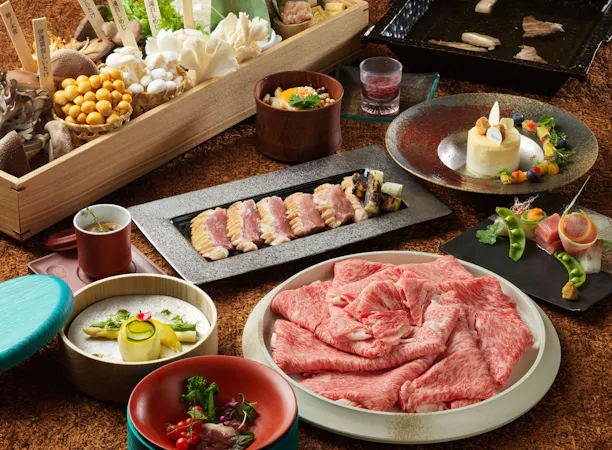 しゃぶしゃぶ「和牛・鴨肉」コース