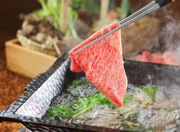 しゃぶしゃぶ「和牛・鴨肉」コース