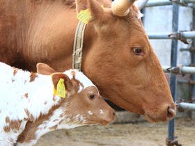 札幌北広島クラッセホテル