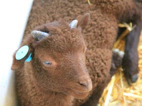 札幌北広島クラッセホテル