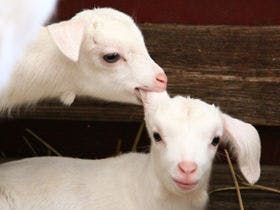 札幌北広島クラッセホテル